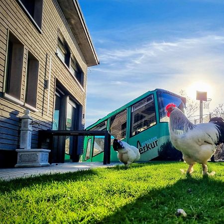 فيلا Exklusives Holzhaus Mit Bergbahn - Baden-Baden Im Schwarzwald المظهر الخارجي الصورة