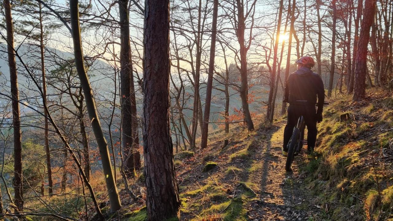 فيلا Exklusives Holzhaus Mit Bergbahn - Baden-Baden Im Schwarzwald المظهر الخارجي الصورة